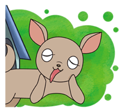 Chihuahua does not go out of the house sticker #8072581