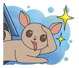 Chihuahua does not go out of the house sticker #8072584