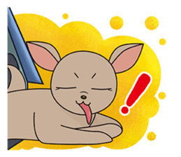 Chihuahua does not go out of the house sticker #8072585