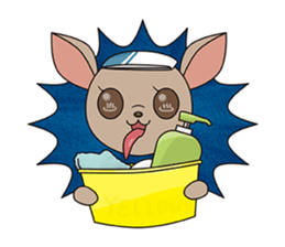 Chihuahua does not go out of the house sticker #8072590