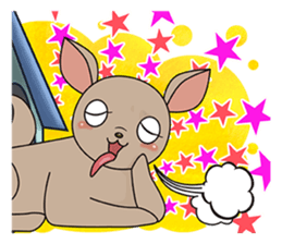 Chihuahua does not go out of the house sticker #8072596