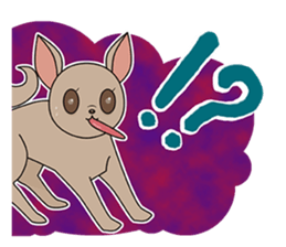 Chihuahua does not go out of the house sticker #8072598