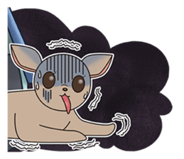 Chihuahua does not go out of the house sticker #8072600