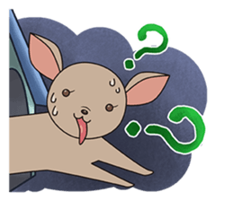 Chihuahua does not go out of the house sticker #8072603