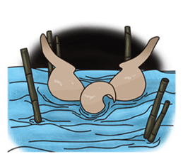 Chihuahua does not go out of the house sticker #8072607