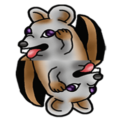 Behavior of Squirrel-Mouse