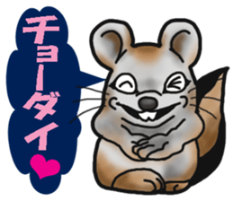 Behavior of Squirrel-Mouse sticker #8073178