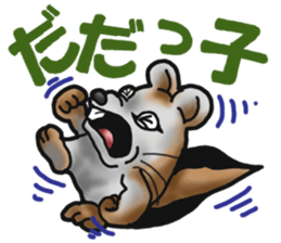 Behavior of Squirrel-Mouse sticker #8073180