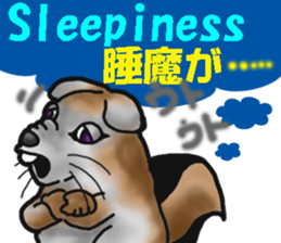 Behavior of Squirrel-Mouse sticker #8073181