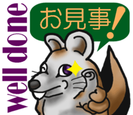 Behavior of Squirrel-Mouse sticker #8073185