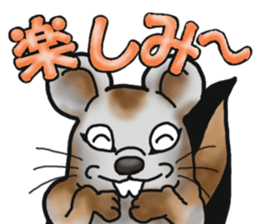 Behavior of Squirrel-Mouse sticker #8073192