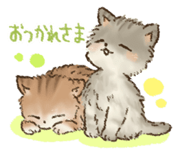 Kitten daily sticker sticker #8076034
