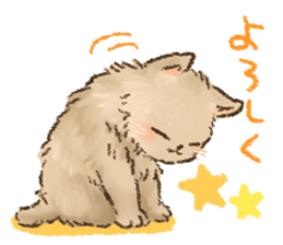 Kitten daily sticker sticker #8076040
