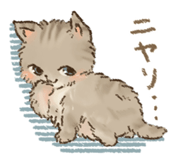 Kitten daily sticker sticker #8076041