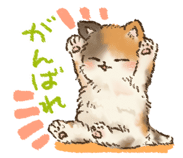 Kitten daily sticker sticker #8076043
