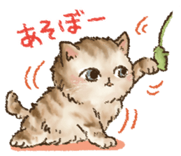 Kitten daily sticker sticker #8076048