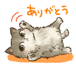 Kitten daily sticker sticker #8076049