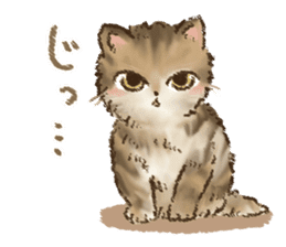 Kitten daily sticker sticker #8076050