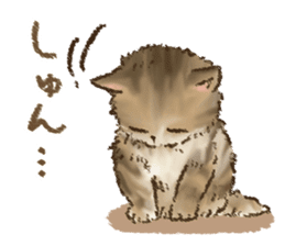 Kitten daily sticker sticker #8076051