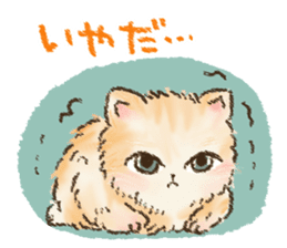 Kitten daily sticker sticker #8076060