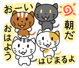 We called Hey. Set gymnastics of cat sticker #8076708