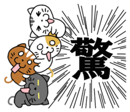 We called Hey. Set gymnastics of cat sticker #8076717