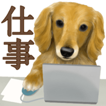 Miniature dachshund! Excellent sticker #8077154