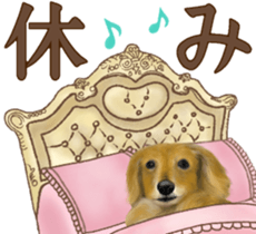 Miniature dachshund! Excellent sticker #8077155