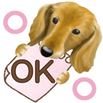 Miniature dachshund! Excellent sticker #8077160