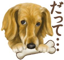 Miniature dachshund! Excellent sticker #8077170
