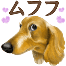 Miniature dachshund! Excellent sticker #8077171
