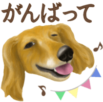 Miniature dachshund! Excellent sticker #8077174