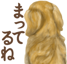 Miniature dachshund! Excellent sticker #8077175