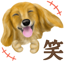 Miniature dachshund! Excellent sticker #8077180