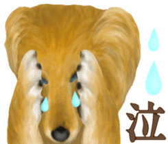 Miniature dachshund! Excellent sticker #8077181