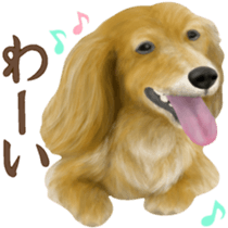 Miniature dachshund! Excellent sticker #8077184