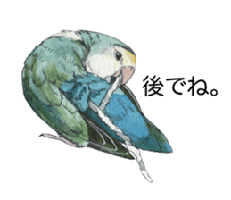Pisuke of the lovebird 2 sticker #8077188