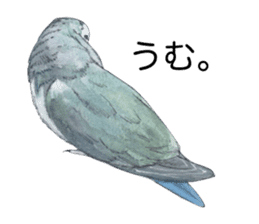Pisuke of the lovebird 2 sticker #8077193