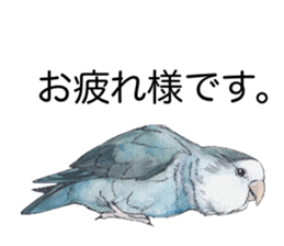 Pisuke of the lovebird 2 sticker #8077196