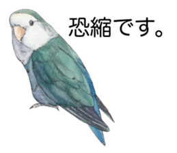 Pisuke of the lovebird 2 sticker #8077199