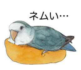 Pisuke of the lovebird 2 sticker #8077216