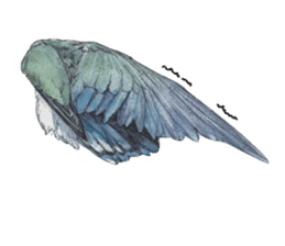 Pisuke of the lovebird 2 sticker #8077225