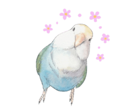 Pisuke of the lovebird 2 sticker #8077227