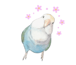 Pisuke of the lovebird 2 sticker #8077227
