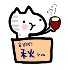 Hakaata of cat in the box sticker #8077710