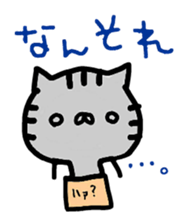 Hakaata of cat in the box sticker #8077717