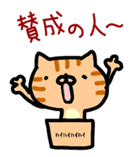 Hakaata of cat in the box sticker #8077724