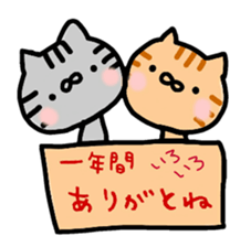 Hakaata of cat in the box sticker #8077740