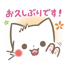 mild-fluffy-White cat -Honorific-