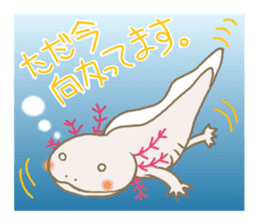 Cheerful Mexico Salamander sticker #8078596
